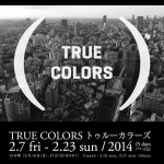 第6回恵比寿映像祭「トゥルー・カラーズ」- 映像メディアが映し出す現代社会の多様性を考える – 2月23日まで