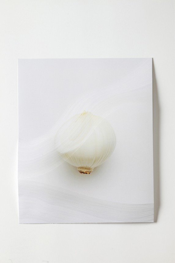 20150629_nerhol-slicing-the-onion02