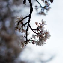 進んだのか、止まっているのか、浮遊しているのか