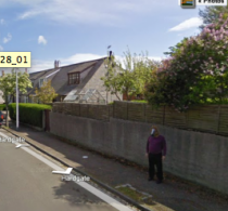 白髪のお馬さん。