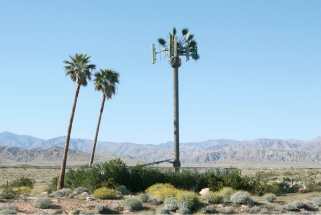 tumblr_o01lhwbk3z1suzfpso1_1280