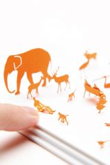 世界の見え方やとらえ方が、がらりと変わってしまうような、特別な「ものさし」を見つける。ICCキッズ・プログラム「トランス・スケール〈ものさし〉をかえてみよう」8月13日より開催