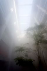 霧、光線、サウンドによって生まれる「アートとしての環境圏」、中谷芙二子＋高谷史郎 新作インスタレーション『CLOUD FOREST』 at YCAM