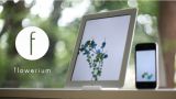 画面の中に作られた仮想の生態系 | 植物を育て、気に入った花を集める iPhone/iPad アプリ『Flowerium.』