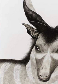 田中健太郎 個展　"奇 箱"