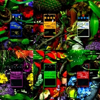 東信エキシビジョン Distortion × Flowers