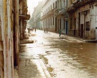 米田樹央 「FIFTY」