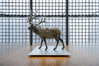 名和晃平 「L_B_S」