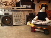 TURBO SONIC + CHARM WAGS