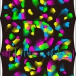 『TDC展 2011』受賞作品発表、gggにて4月1日より開催