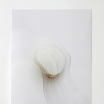 アーティストユニットNerhol、「食物」をテーマにした新作展「Slicing the Onion」7月3日より恵比寿 POSTにて開催