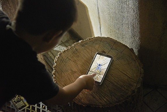 20150817_hikarudoubutsuen04