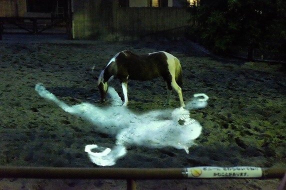 20150817_hikarudoubutsuen05