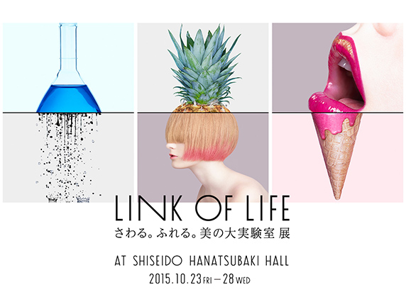 20151019_link-of-life
