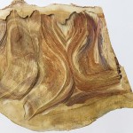 アーティスト・デュオ Nerholの新作展 – 金沢21世紀美術館、ギャラリーSLANTで開催中